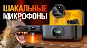 НЕ ПОКУПАЙ ЭТИ МИКРОФОНЫ! Обзор петличек (не) Xiaomi J6