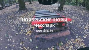 НОЯБРЬСКИЕ ШОРЫ. Чесспарк 2024