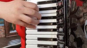 А. Пьяццолла Танго "Чао, Париж!"/ Tango A. Piazzolla "Chau Paris" Наталья Шах (аккордеон) г. Минск