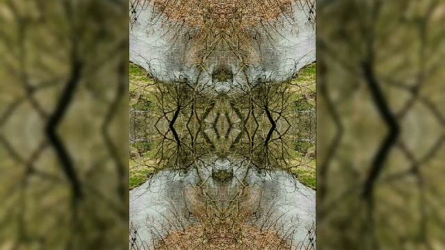 ВЕСЕННИЙ КАЛЕЙДОСКОП 🌼🌀🌼