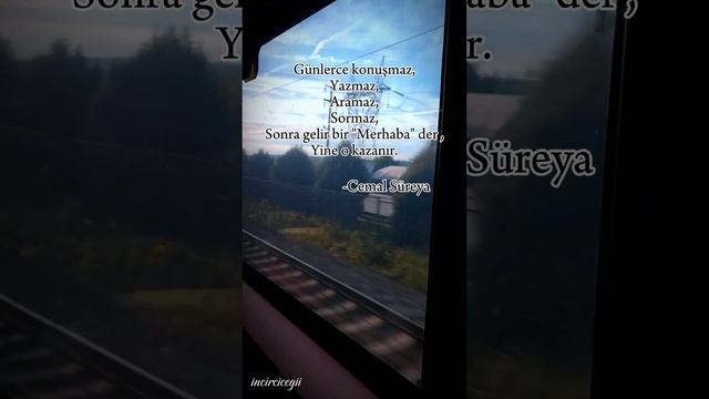 Cemal Süreya.Türk şair, yazar ve çevirmen. #quotes #philosophy #photography #cemalsüreya #literatur