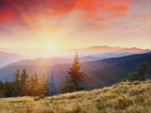 Сурья Намаскар (Surya namascar) Правильное исполнение мантры. Ровно 6 кругов!