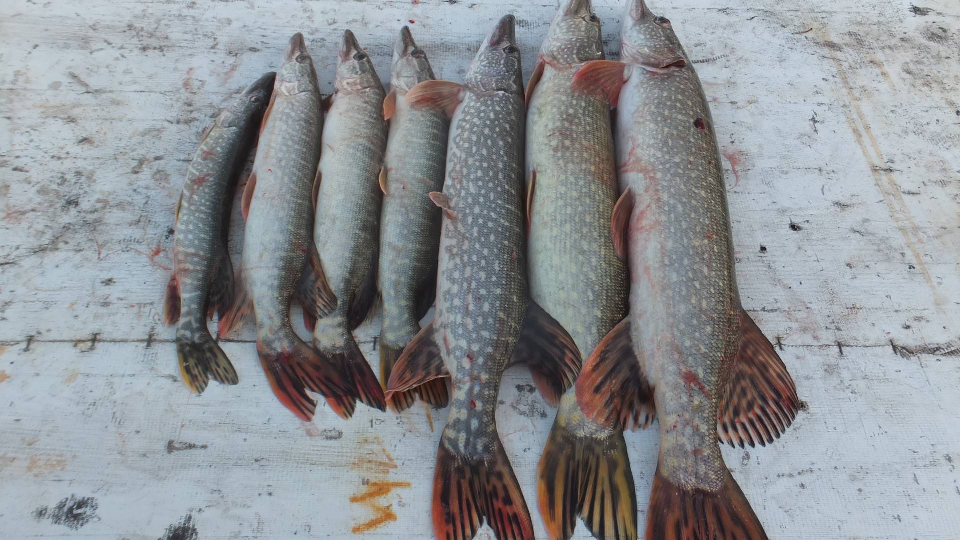 Закрыли летний сезон!