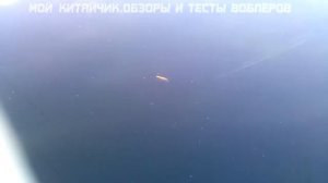 Воблер из КИТАЯ 10 см.9.4 гр.