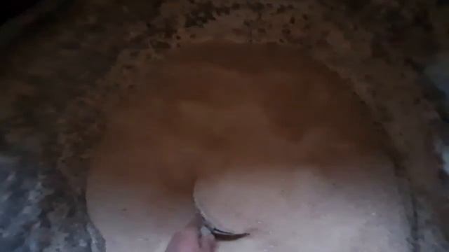 Қошқар қозы бордақылау.
