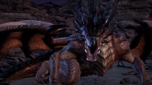 Dragon 10