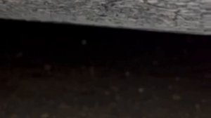 звуки приесподни еп6.mp4