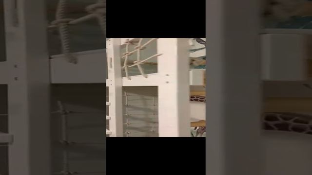 ДСК "Гималаи со скалодромом"