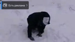 Снюсоед мем