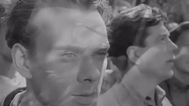 Саша Марк Бернес Журавли Сегмент смотреть онлайн