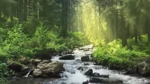 Расслабляющая классическая музыка_ Моцарт _ Бетховен _ Шопен _ Бах Чайковский.