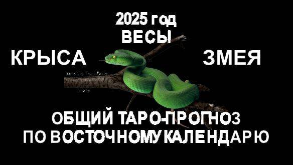 ОБЩИЙ ТАРО-ПРОГНОЗ НА 2025  ГОД ПО ВОСТОЧНОМУ КАЛЕНДАРЮ.ВЕСЫ (КРЫСА-ЗМЕЯ)