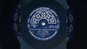 Позарастали стежки, дорожки - Михаил Северский (гусли)