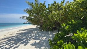 Sun Siyam Vilu Reef 5 Мальдивы