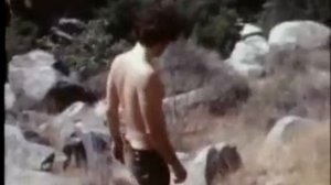 The Doors (The Crystal Ship)