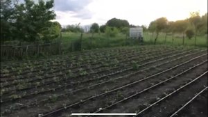 Монтаж небольшого капельного полива/ Обзор участка родителей.