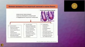 Витамин Д и риск развития аутоиммунных заболеваний - Герасимова Елена Владимировна