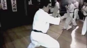 Масутацу Ояма основатель карате ломавший рога быкам