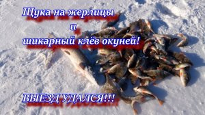 Щука на жерлицы и шикарный клёв окуней! ВЫЕЗД УДАЛСЯ!!! THE RIDE WAS A SUCCESS!!!