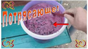 Виноделие и как сделать домашнее вино для себя.