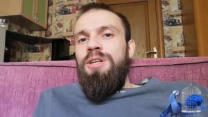 Подсознание и Неокортекс Как Развить