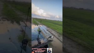 Хасбик жит хочу Хасбик газует новым машинами в городе Хасбик мафия Хасбика напали фанаты толпой
