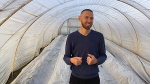 Когда укрывать клубнику агроволокном???