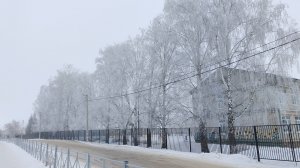 снежная природа, деревья в снегу, красивая деревенская зима, жизнь в деревне