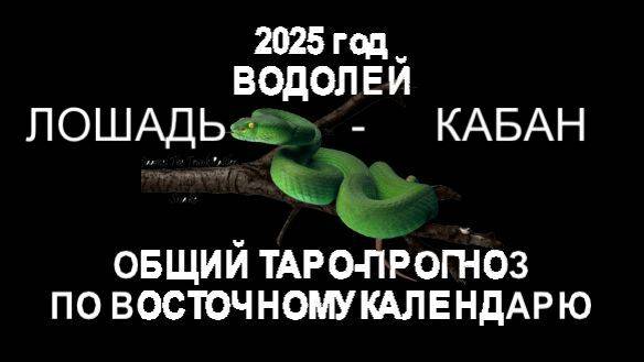 ОБЩИЙ ТАРО-ПРОГНОЗ НА 2025 ГОД ПО ВОСТОЧНОМУ КАЛЕНДАРЮ. ВОДОЛЕЙ (ЛОШАДЬ-КАБАН)