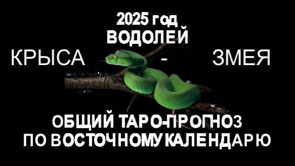 ОБЩИЙ ТАРО-ПРОГНОЗ НА 2025 Г ПО ВОСТОЧНОМУ КАЛЕНДАРЮ. ВОДОЛЕЙ (КРЫСА-ЗМЕЯ)