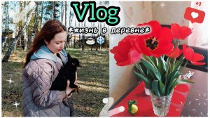 МЕНЯ НАПЕЧАТАЛИ В ЖУРНАЛАХ? | Град и снег в МАЕ | Готовимся к Пасхе и 9 Мая