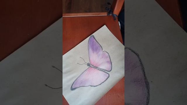 Как я рисовал бабочку карандашами