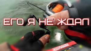 Рыбалка в деталях или как расшевелить зимнего судака и не только 😉