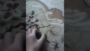 Описался