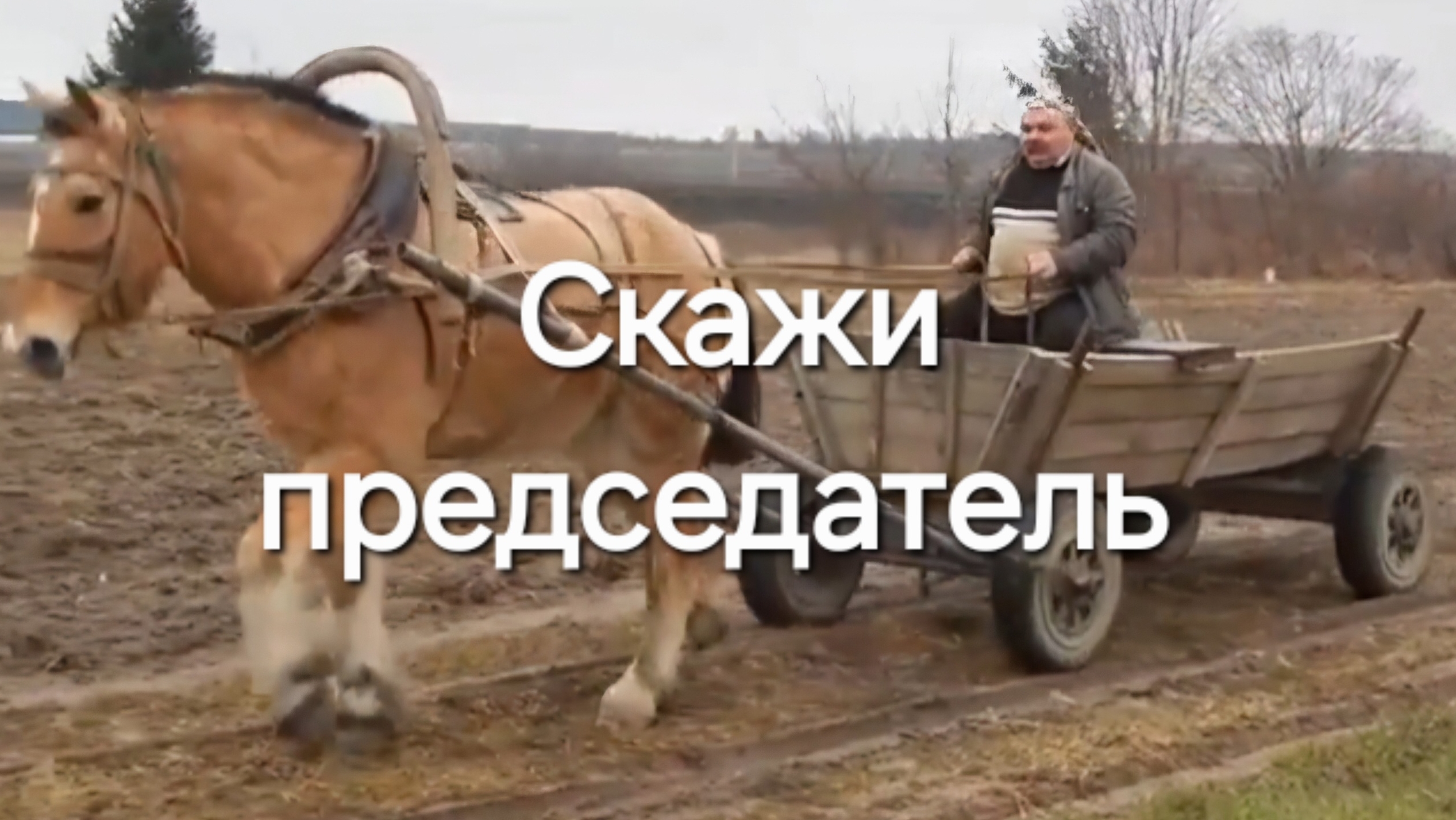 Скажи председатель кому мы нужны.