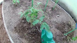 Рабта аккумуляторным рыхлителем