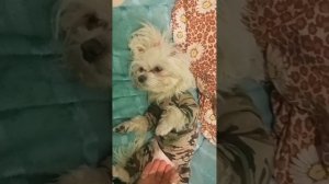 . Всегда находи время отдохнуть и расслабится. Даже металл если переколить станет хрупкий