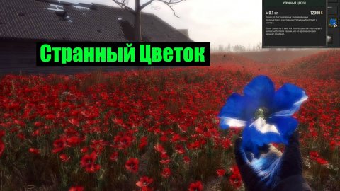 Сталкер 2 Секрет артефакта Странный цветок где найти свойства странного цветка