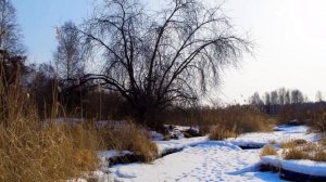 За дальнею околицей