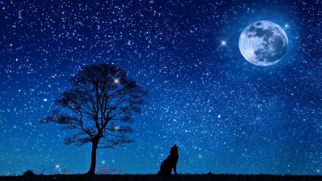 ПОЭЗИЯ: Түн 🌛