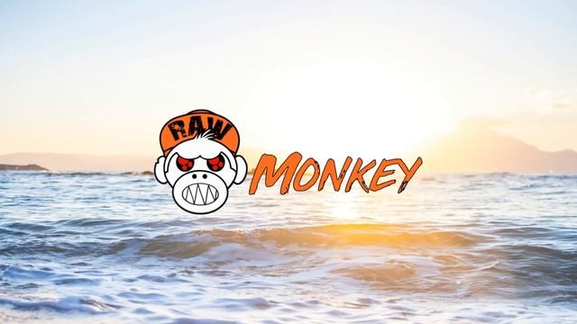 D-Fuse - Dominate & Destroy (MELODIC RAW) [MONKEY TEMPO] смотреть онлайн