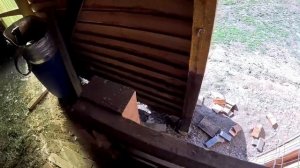 ВОЛК ЗАШЕЛ В ОВЧАРНЮ ? СЛОМАЛИ ЗАБОР ! ЧТО ТУТ СЛУЧИЛОСЬ ? ХУТОР В ЛЕСУ №467