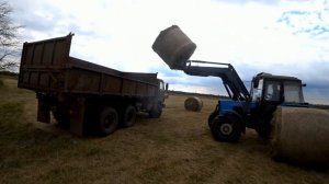 грузим и возим сено зил,камаз .сенозаготовка завершена погрузчик турс 1500м