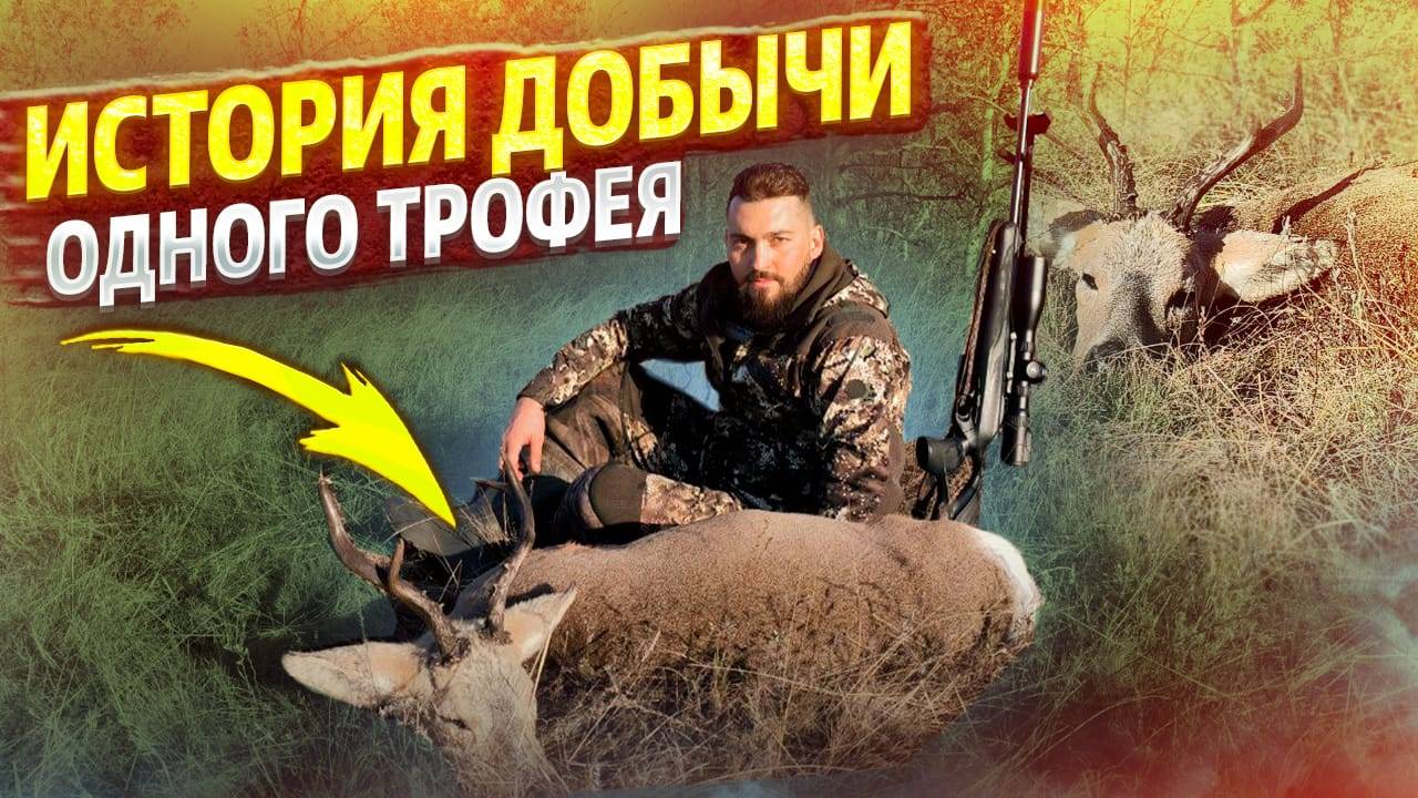 История одного трофея