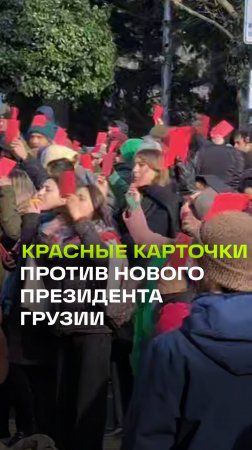 Красные карточки новому президенту на митинге в Тбилиси