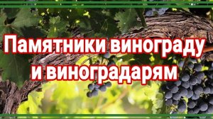 Памятники и скульптуры винограду