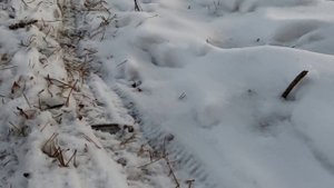 TROFI RC CAR 1. 10 часть 1