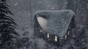 Пережить ЖЕСТОКУЮ РУССКУЮ ЗИМУ 2025 года - ЭКСТРЕМАЛЬНЫЙ холод!