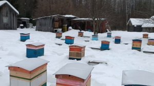 Контроль зимовки