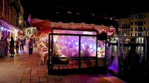 Себастьян в Венеции декабрь 2024 (субтитры)